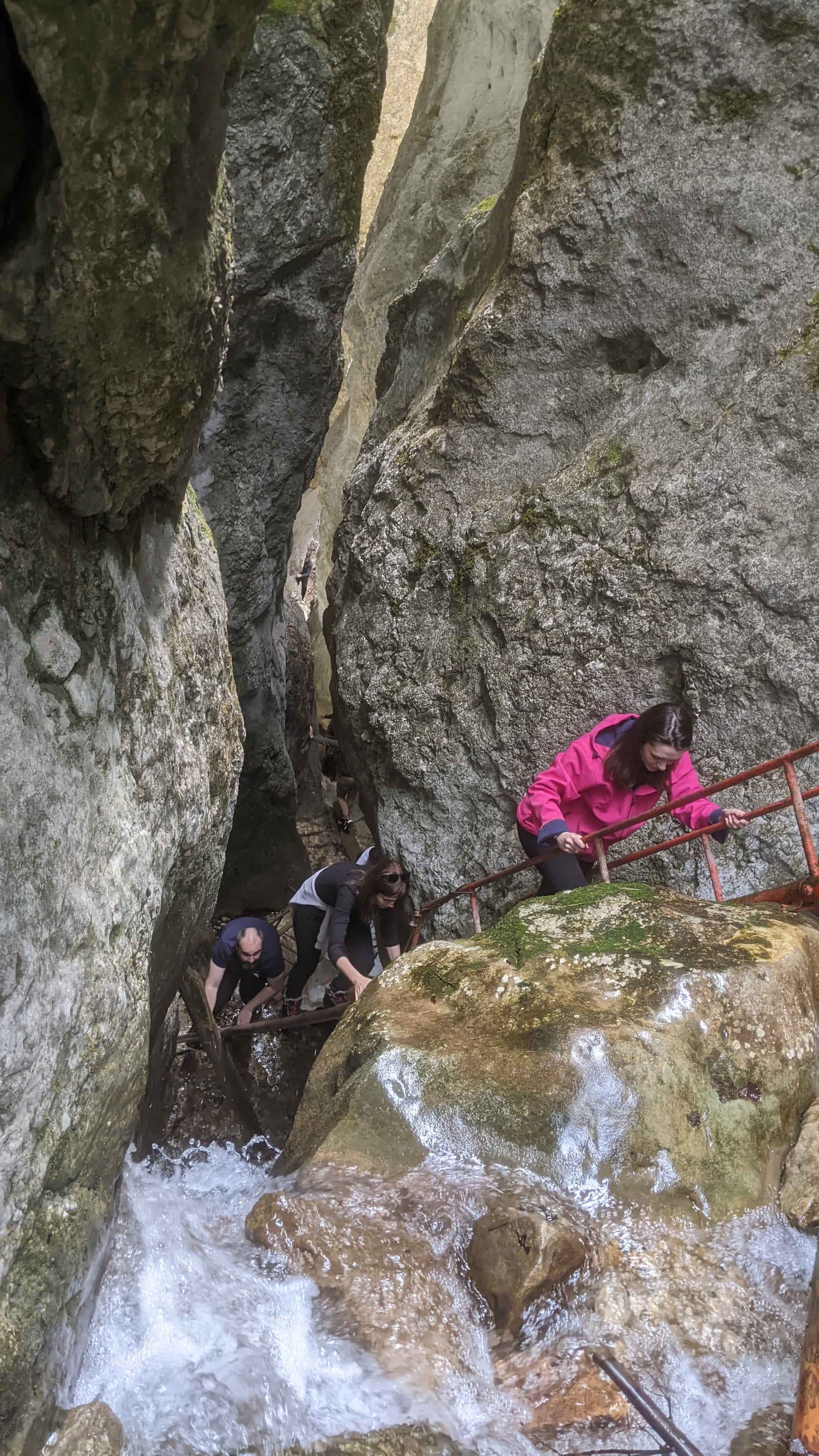 Activități de echipă în natură