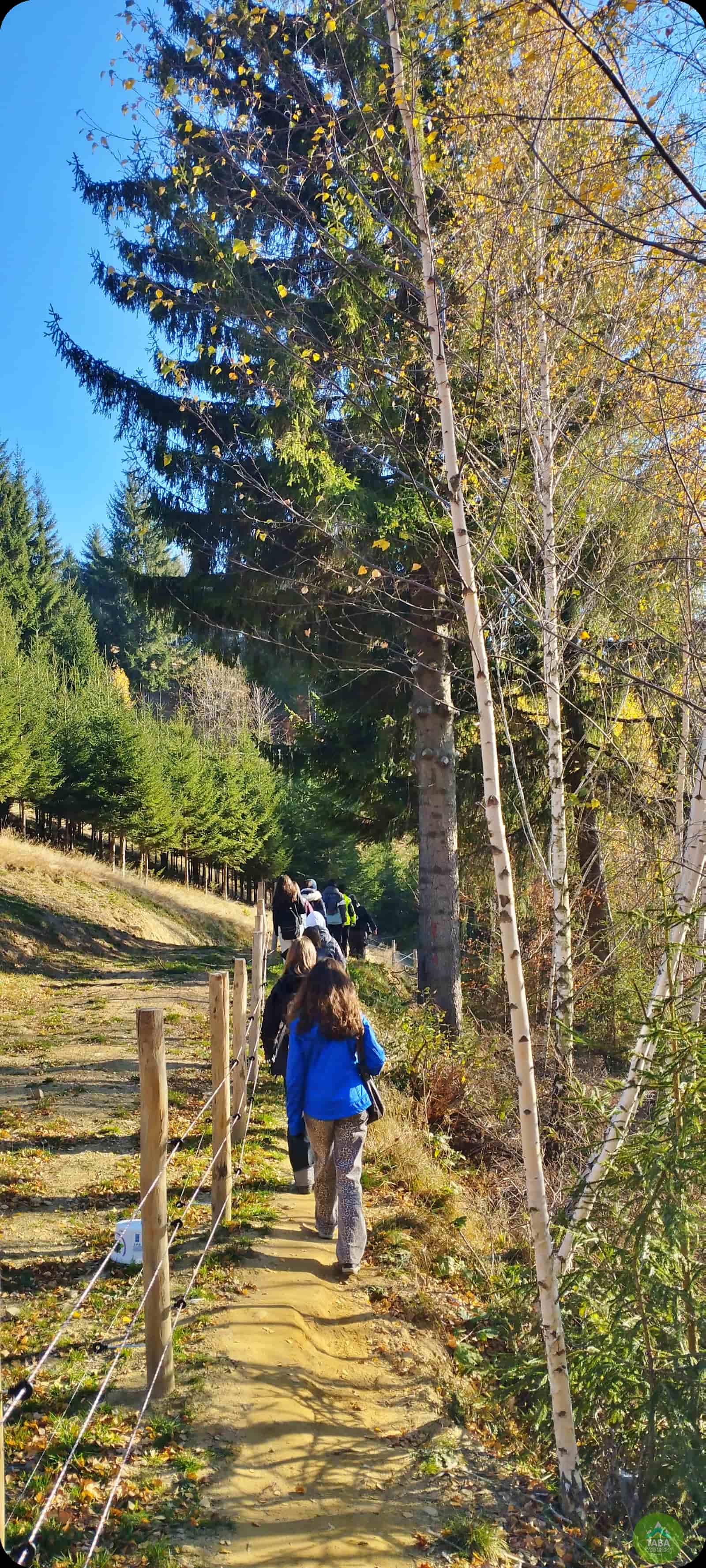 Activități de echipă în natură