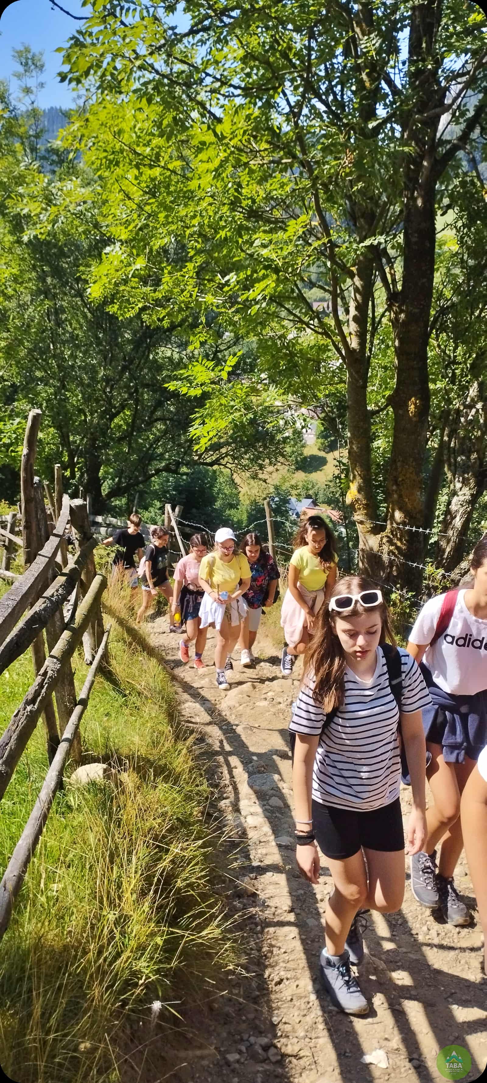 Activități de echipă în natură
